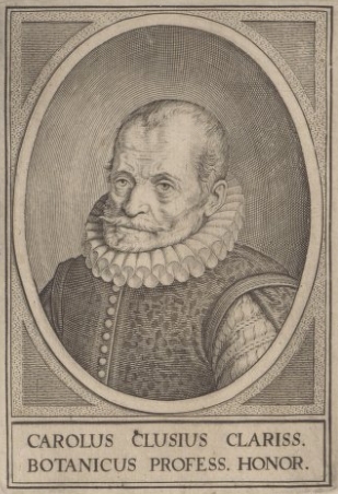 Persoon-818.jpg