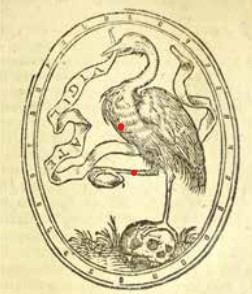 PersoonMerk-14844.jpg